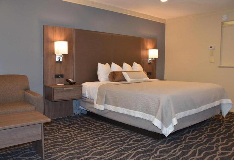 ホテル Best Western Plus Hill House