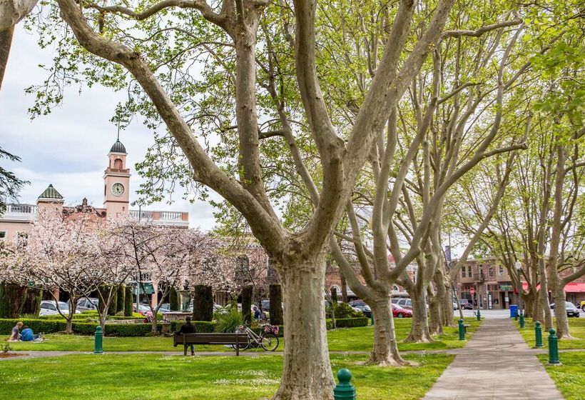 Отель Sonoma Valley Inn, Tapestry Collection By Hilton