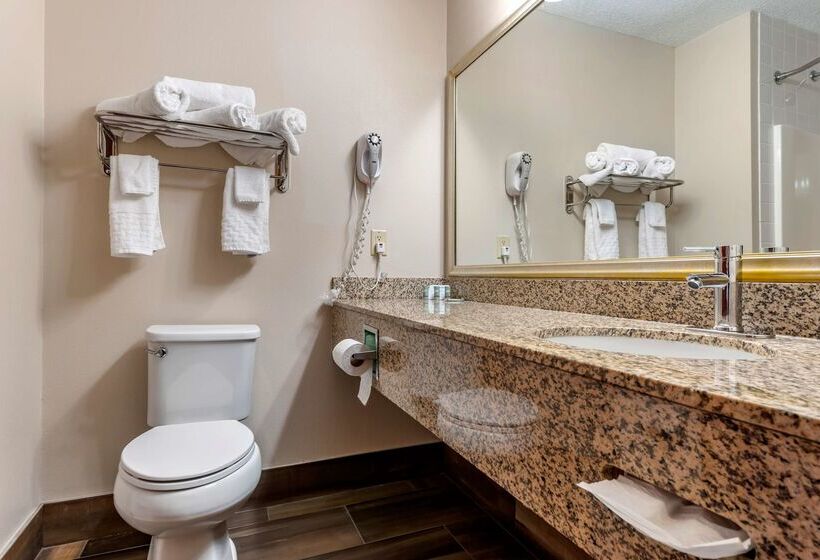 酒店 Best Western The Inn At The Fairgrounds