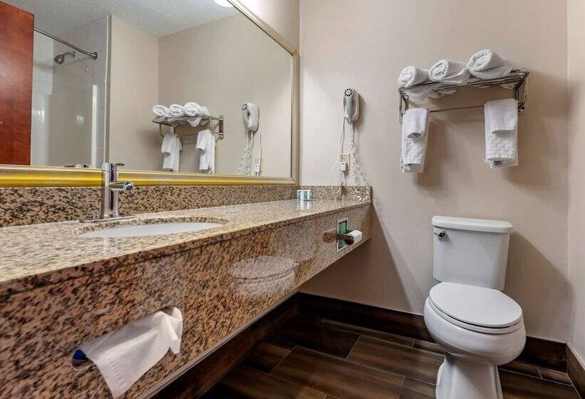 酒店 Best Western The Inn At The Fairgrounds