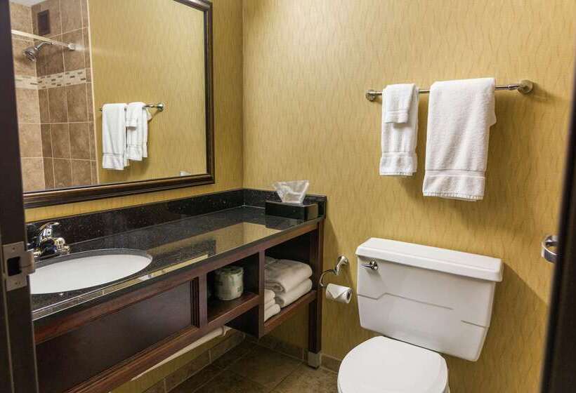 Clarion Hotel Convention Center