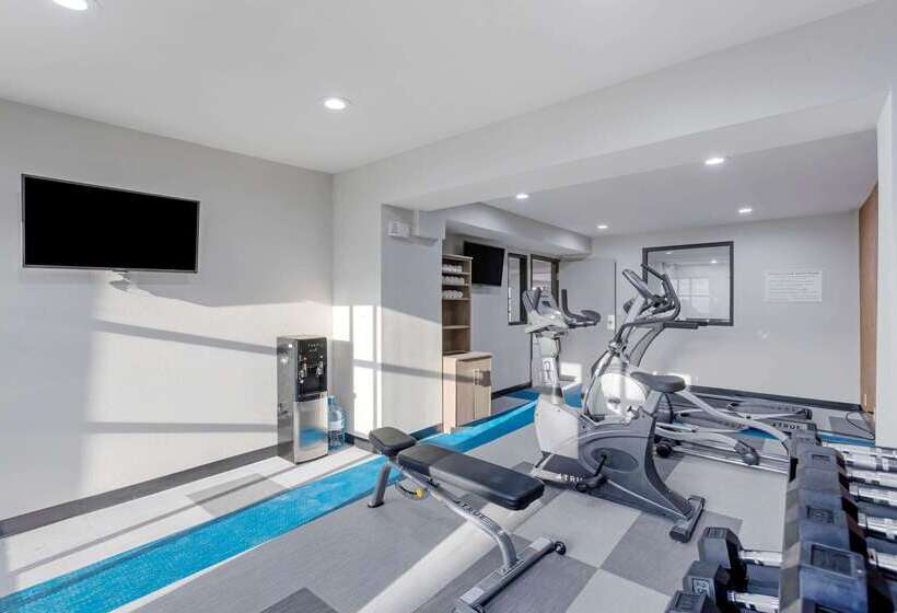 酒店 Comfort Inn Detroit Troy