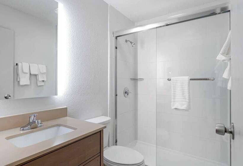 酒店 Comfort Inn Detroit Troy