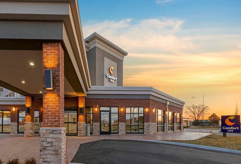 酒店 Comfort Inn Detroit Troy
