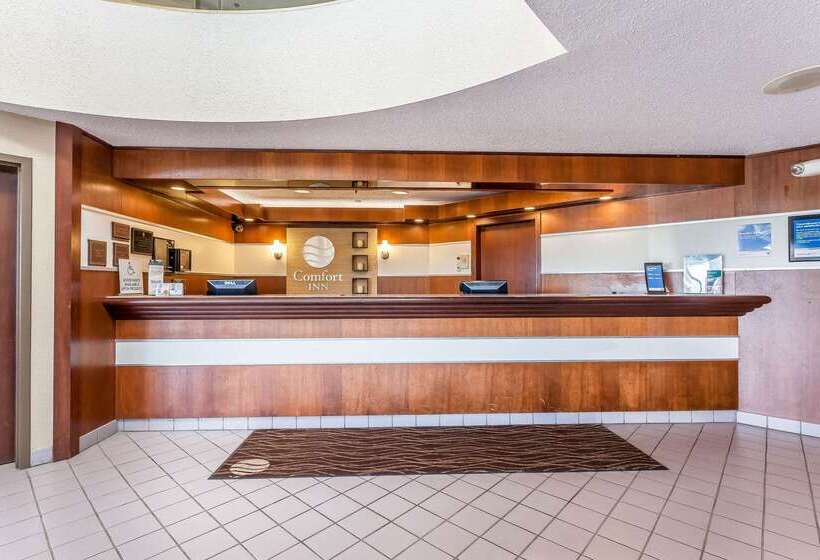 ホテル Comfort Inn  Hall Of Fame