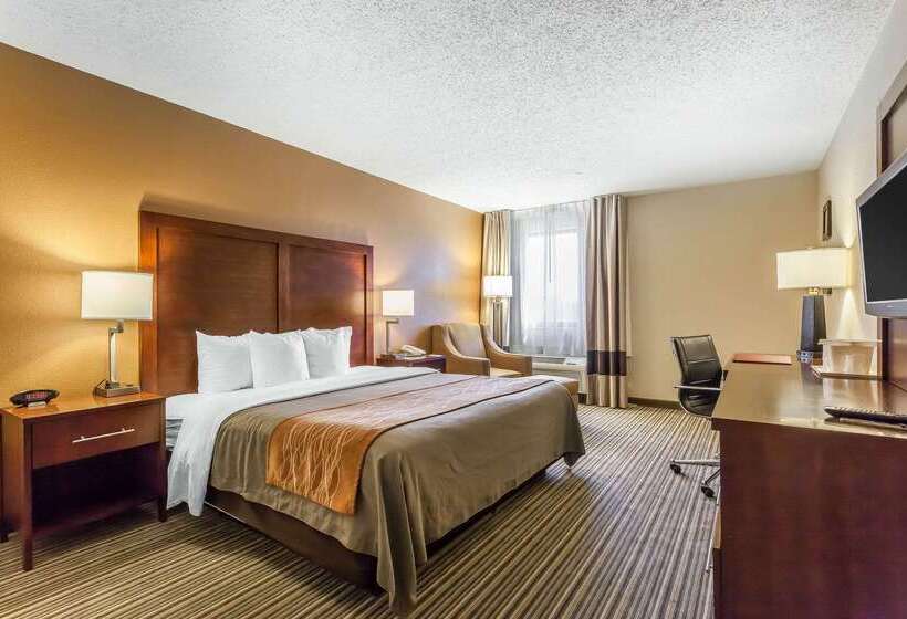 ホテル Comfort Inn  Hall Of Fame