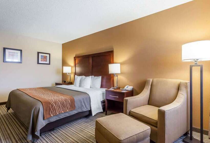 ホテル Comfort Inn  Hall Of Fame