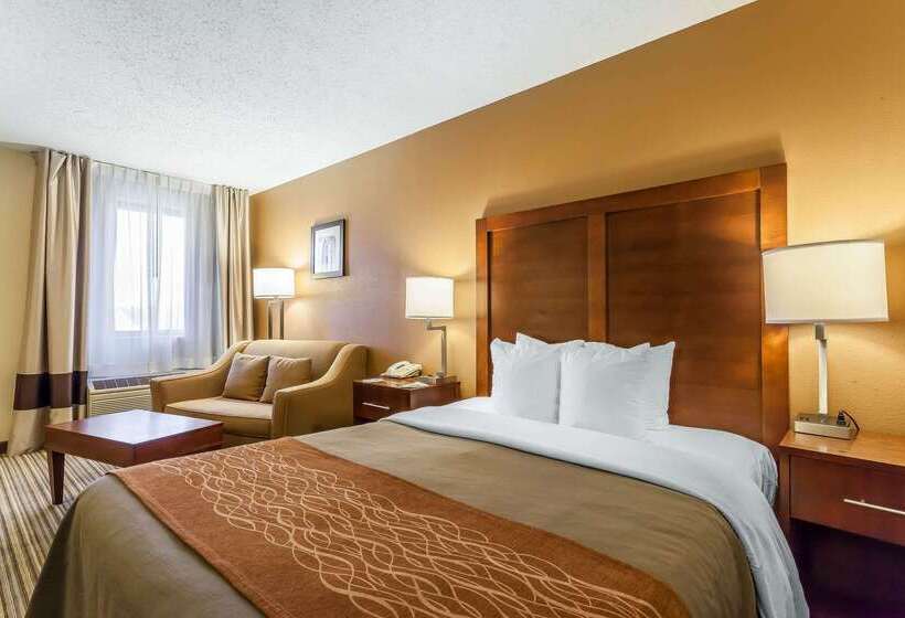 ホテル Comfort Inn  Hall Of Fame