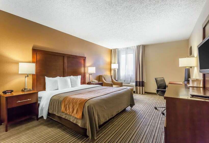 ホテル Comfort Inn  Hall Of Fame