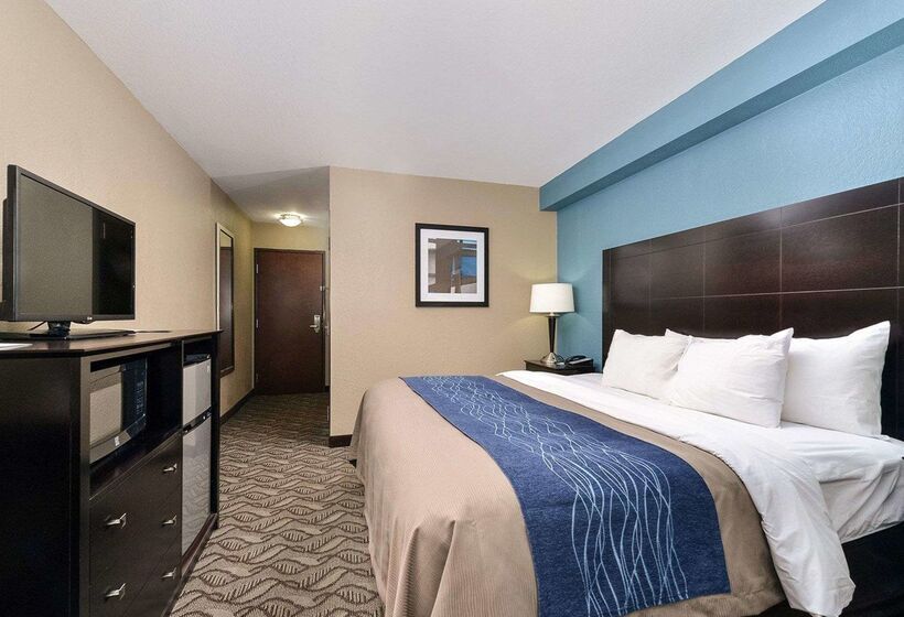 ホテル Comfort Inn & Suites Springfield I55