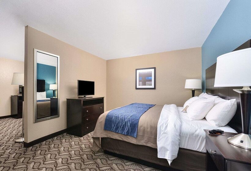 هتل Comfort Inn & Suites Springfield I55