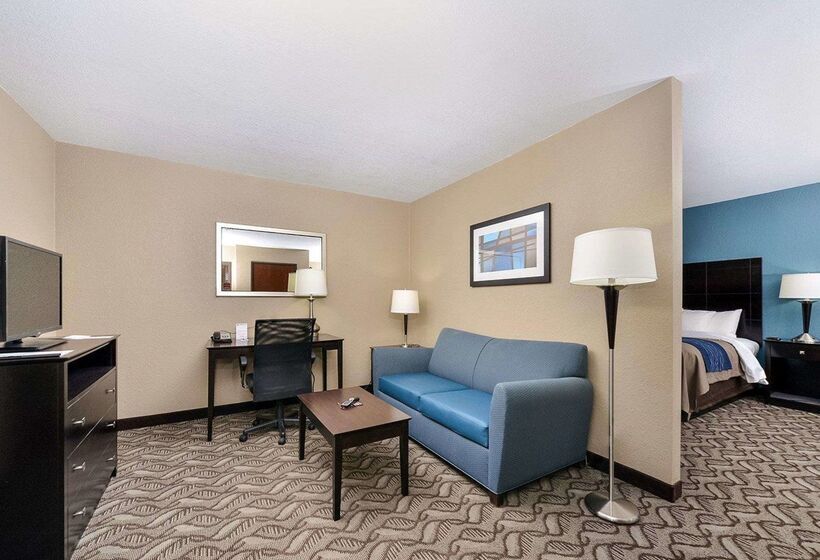 ホテル Comfort Inn & Suites Springfield I55
