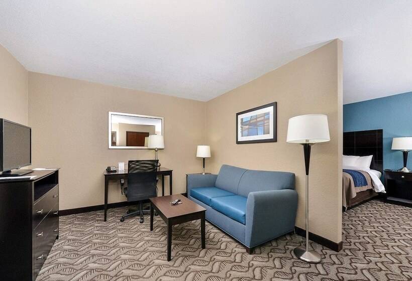 ホテル Comfort Inn & Suites Springfield I55