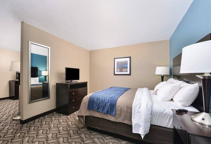 ホテル Comfort Inn & Suites Springfield I55