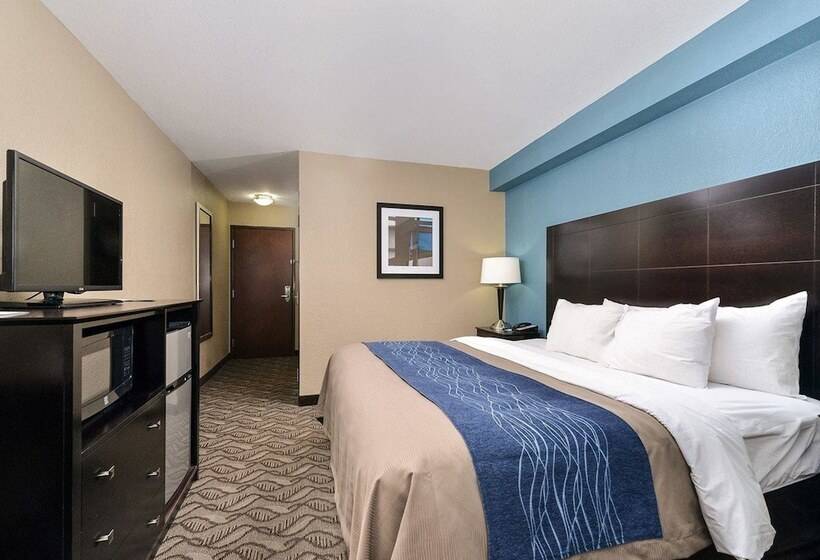 ホテル Comfort Inn & Suites Springfield I55