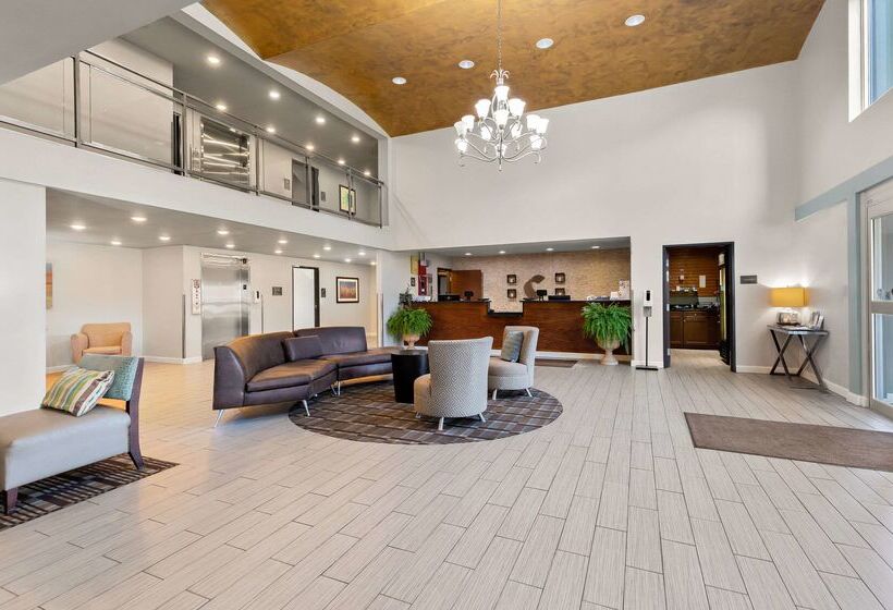 ホテル Comfort Inn & Suites Springfield I55