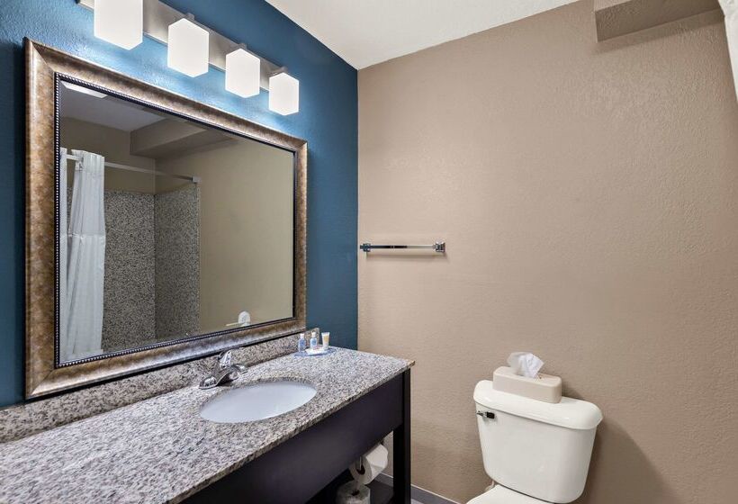 ホテル Comfort Inn & Suites Springfield I55