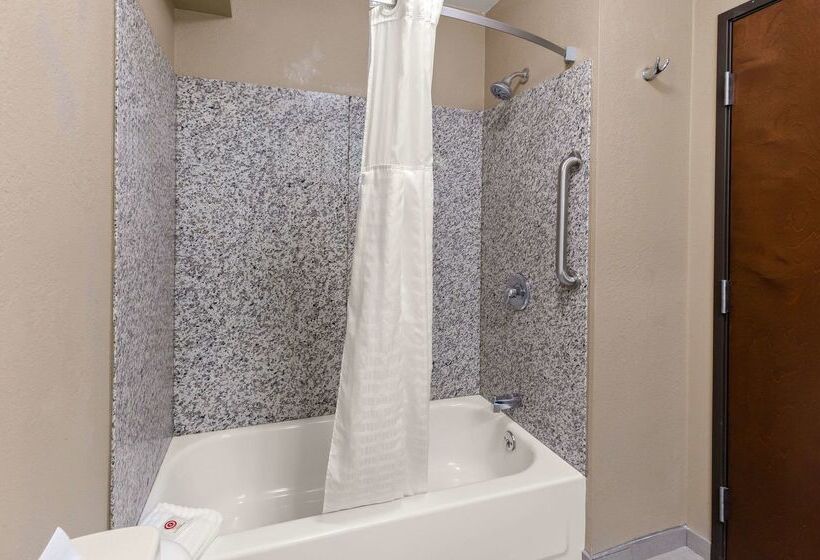 ホテル Comfort Inn & Suites Springfield I55