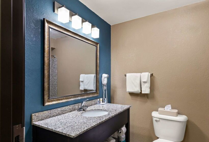 ホテル Comfort Inn & Suites Springfield I55