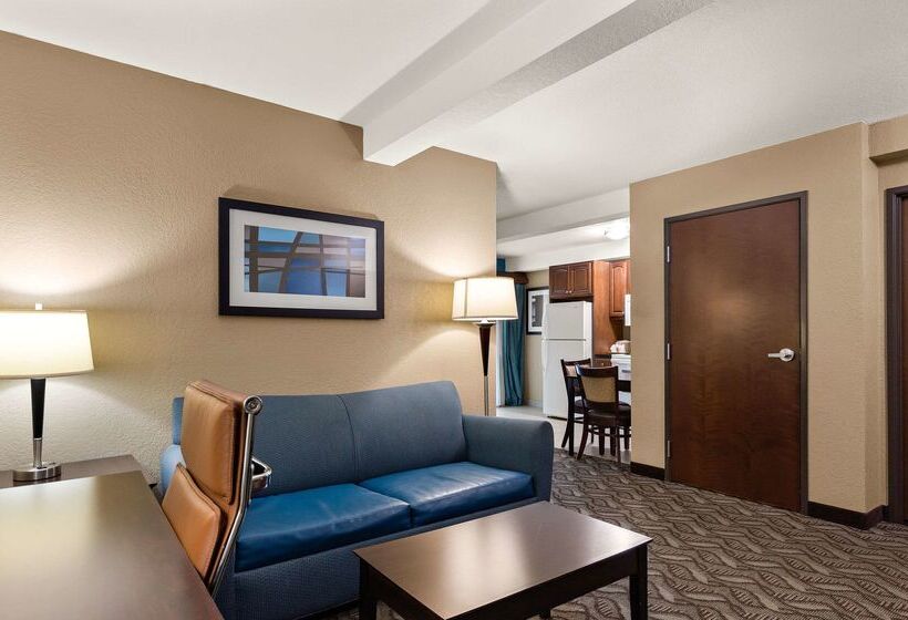 ホテル Comfort Inn & Suites Springfield I55