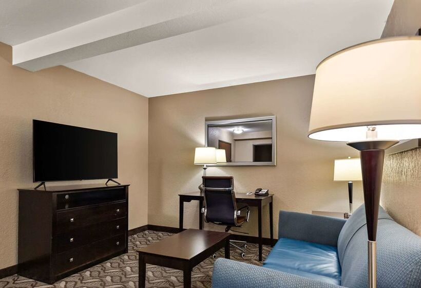 ホテル Comfort Inn & Suites Springfield I55