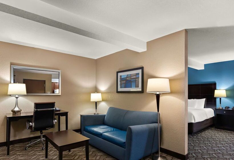 ホテル Comfort Inn & Suites Springfield I55