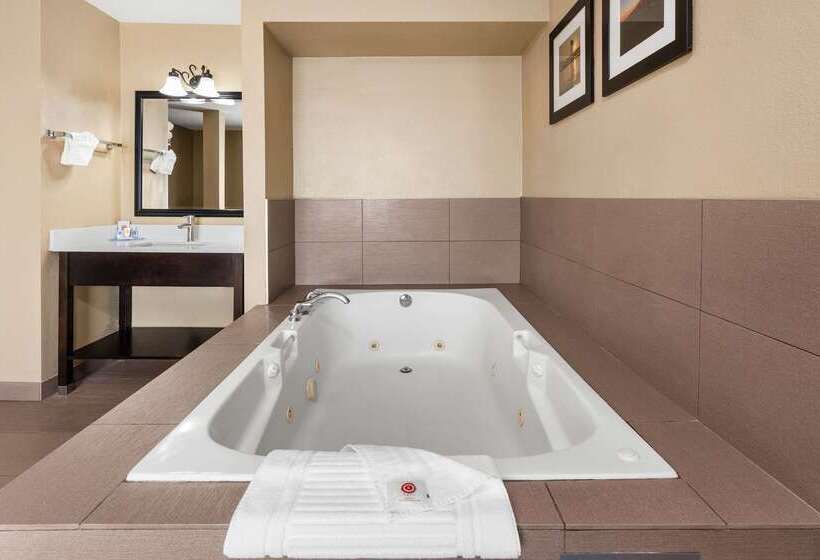 ホテル Comfort Inn & Suites Vancouver Downtown City Center