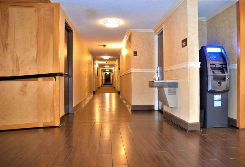 ホテル Comfort Inn & Suites Vancouver Downtown City Center