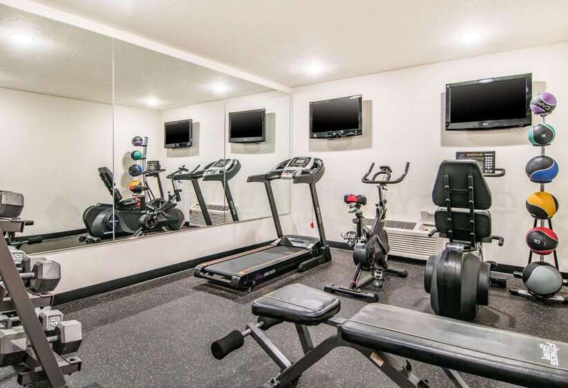 ホテル Comfort Inn & Suites Vancouver Downtown City Center