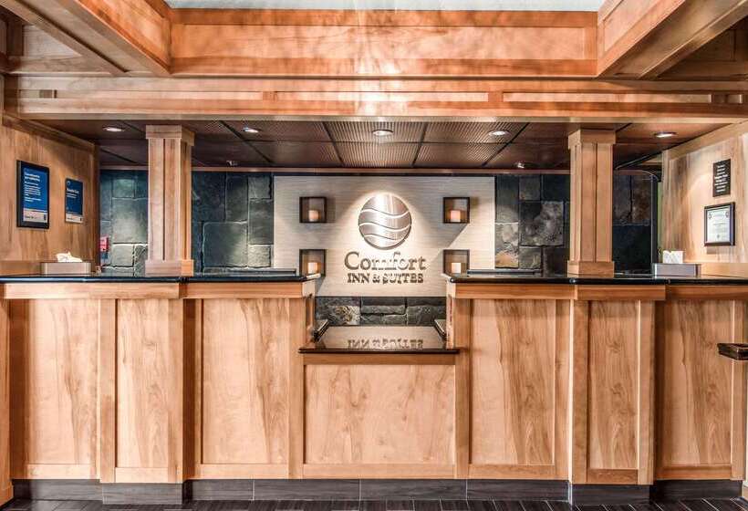 ホテル Comfort Inn & Suites Vancouver Downtown City Center