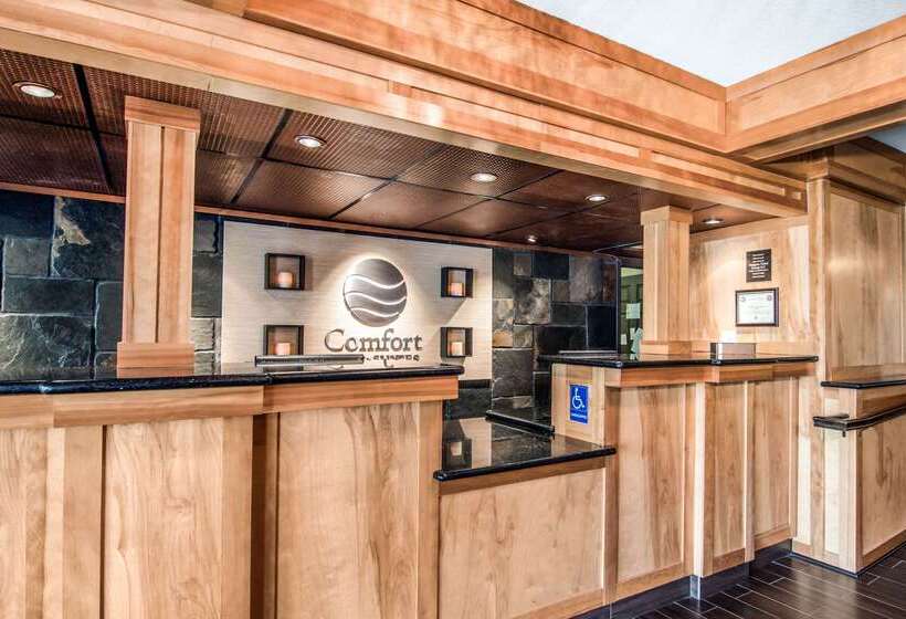 ホテル Comfort Inn & Suites Vancouver Downtown City Center