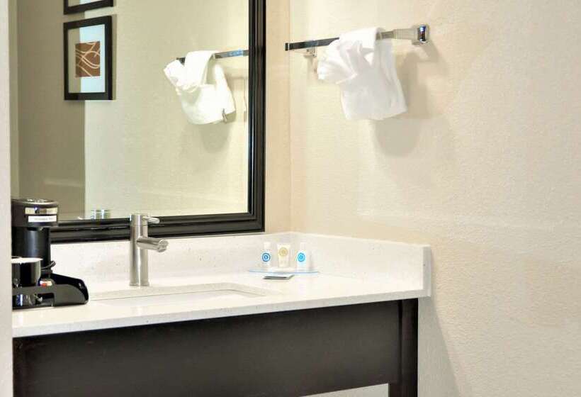 ホテル Comfort Inn & Suites Vancouver Downtown City Center