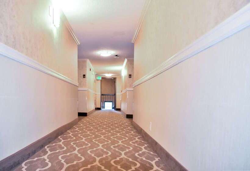 ホテル Comfort Inn & Suites Vancouver Downtown City Center