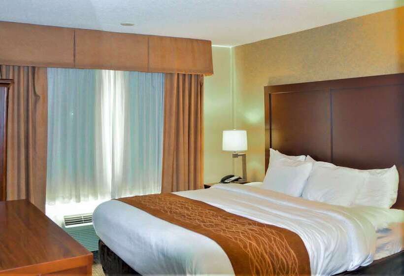 ホテル Comfort Inn & Suites Vancouver Downtown City Center