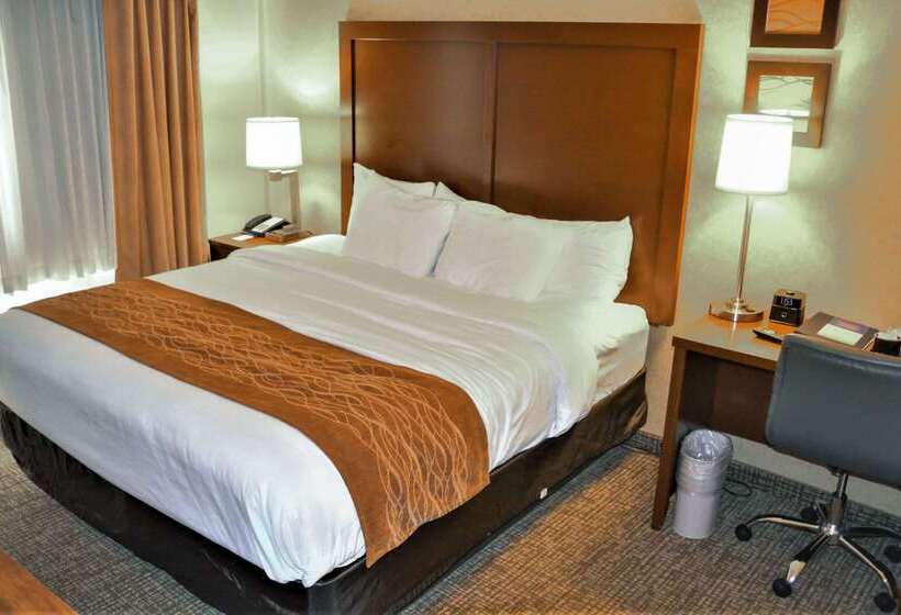 ホテル Comfort Inn & Suites Vancouver Downtown City Center