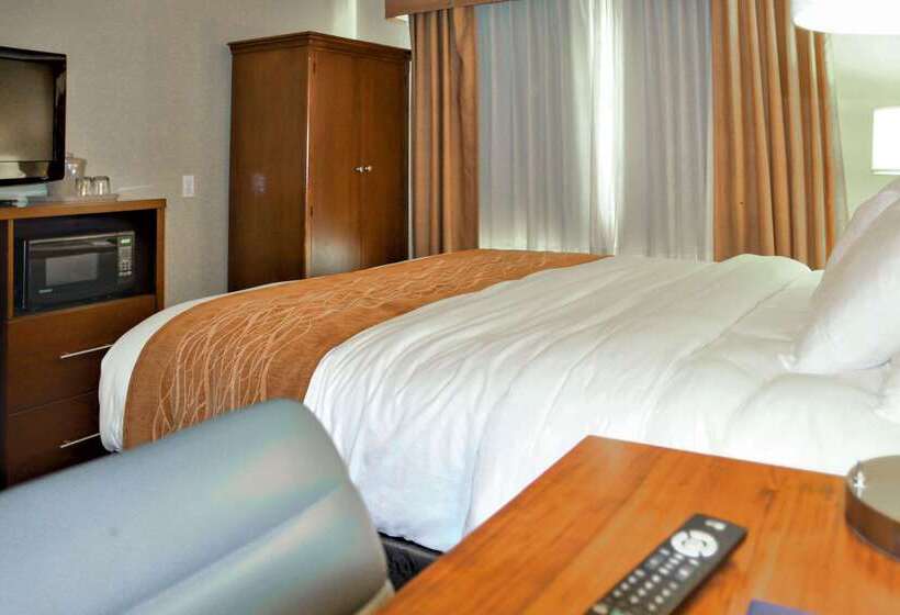 ホテル Comfort Inn & Suites Vancouver Downtown City Center