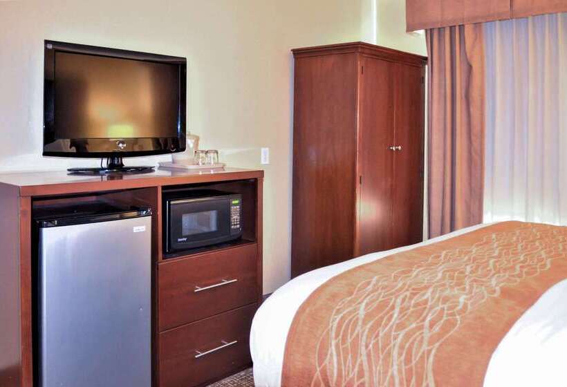 ホテル Comfort Inn & Suites Vancouver Downtown City Center