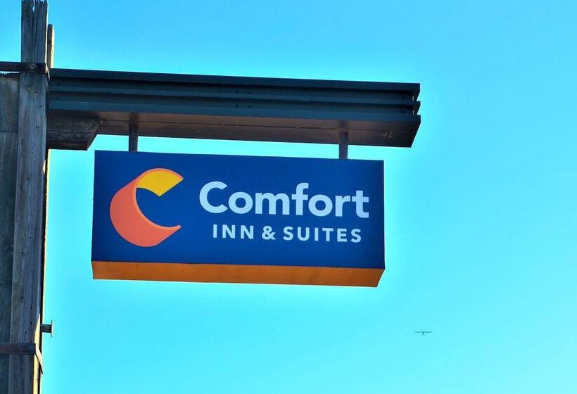 ホテル Comfort Inn & Suites Vancouver Downtown City Center