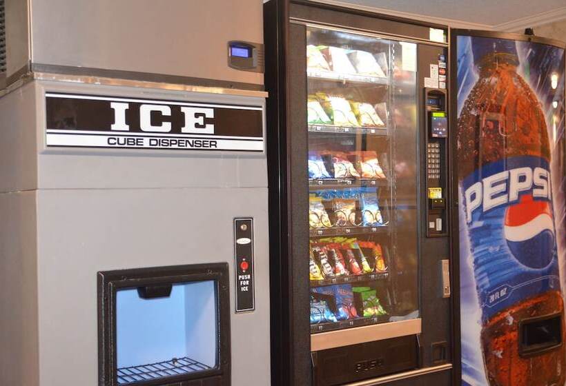 ホテル Comfort Inn & Suites Vancouver Downtown City Center