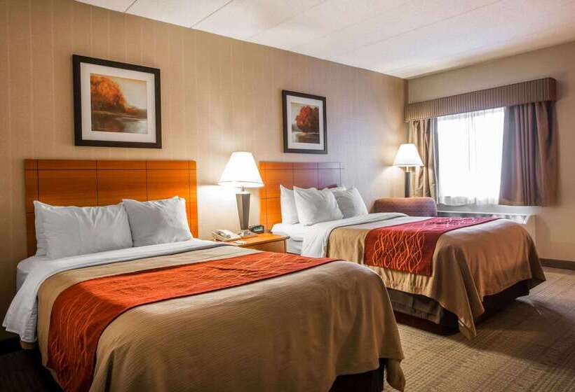 فندق Comfort Inn