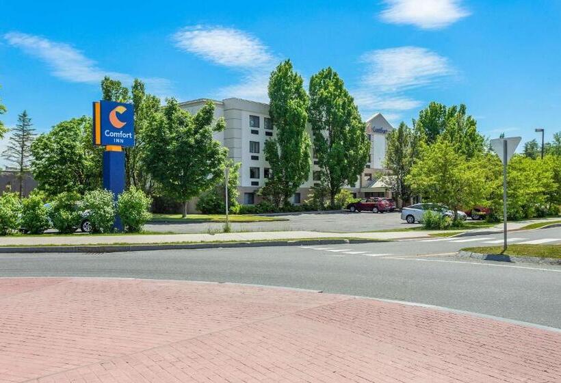 فندق Comfort Inn