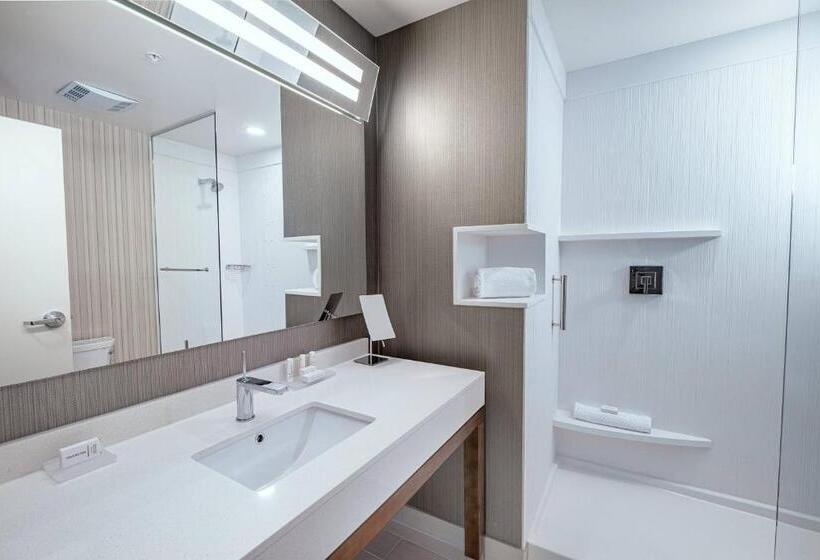 酒店 Courtyard By Marriott Toledo West