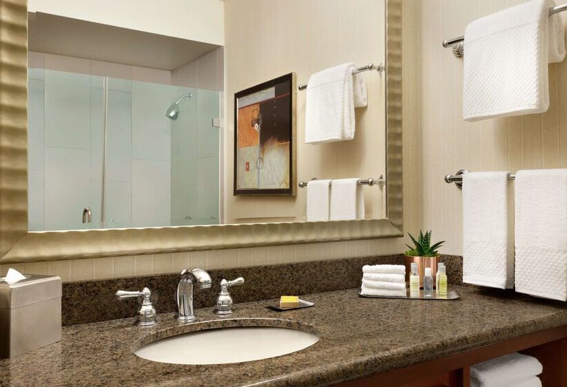 ホテル Doubletree By Hilton Minneapolis Park Place