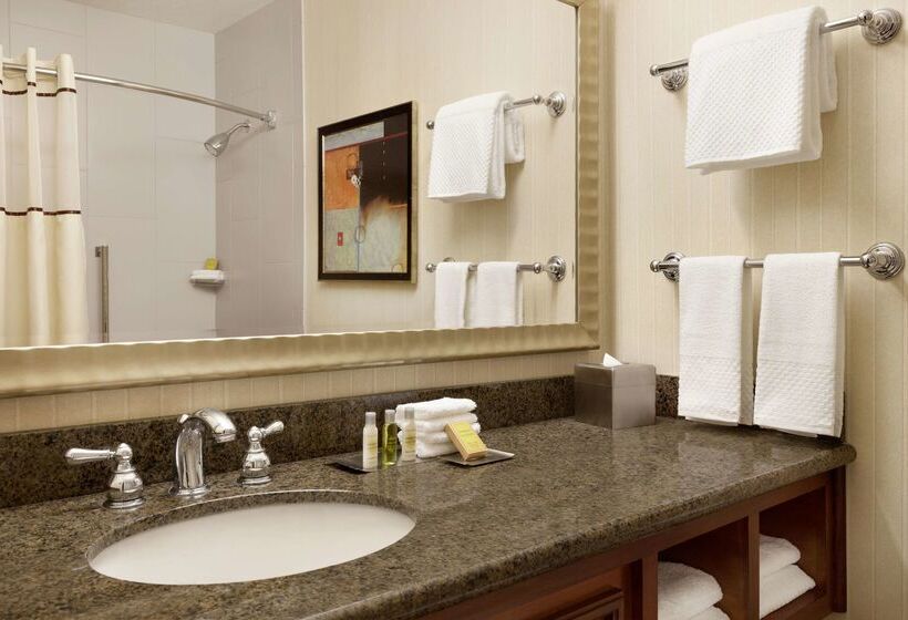 ホテル Doubletree By Hilton Minneapolis Park Place