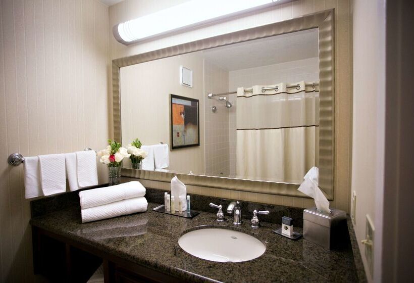 هتل Doubletree By Hilton Minneapolis Park Place