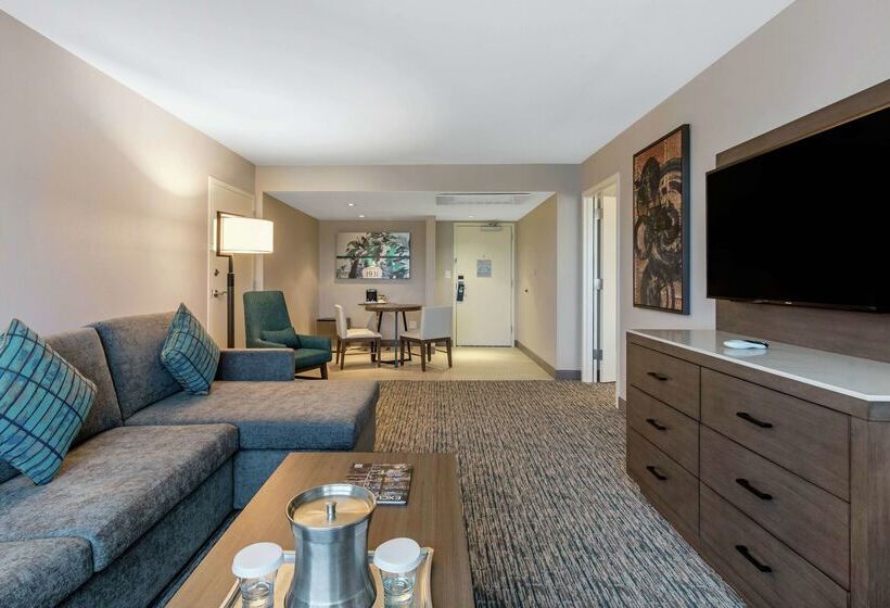 酒店 Doubletree By Hilton Birmingham Perimeter Park