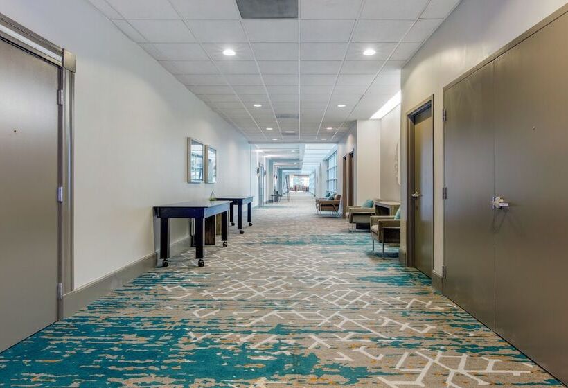 酒店 Doubletree By Hilton Birmingham Perimeter Park