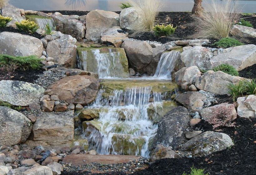 호텔 Doubletree By Hilton Winston Salem University