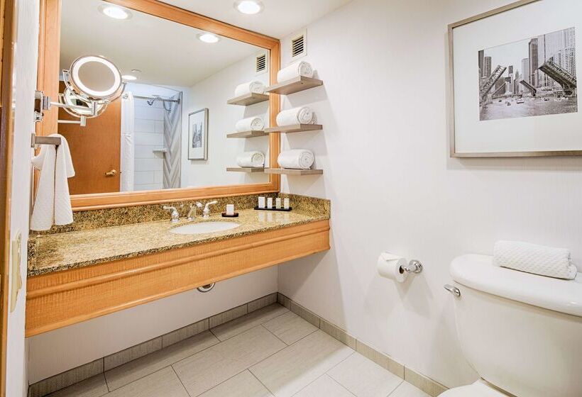 בית מלון כפרי Embassy Suites By Hilton Chicago O Hare Rosemont