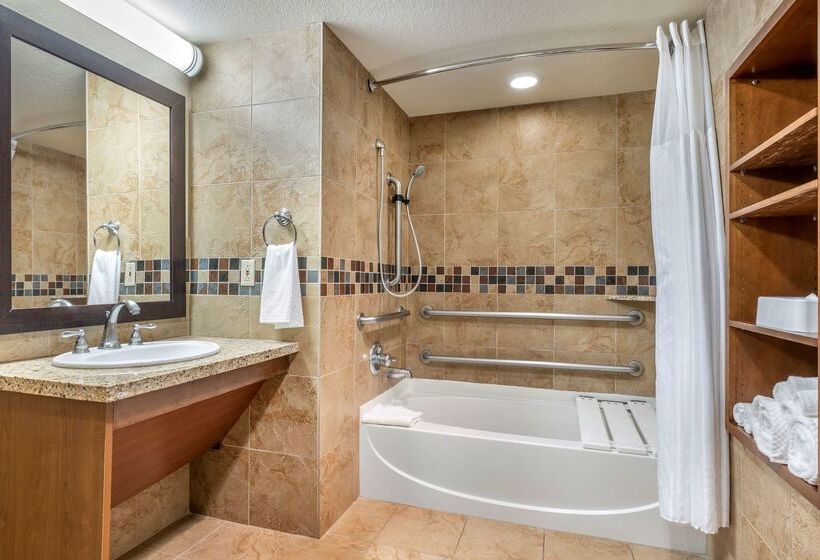 Hotel Embassy Suites Lake Tahoe Resort